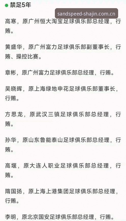中国足协第三批禁足名单事件深度评测——行业震荡下的体育生态反思